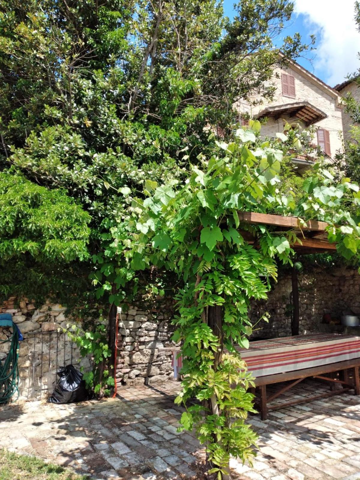 Casa Elsa Apartment *