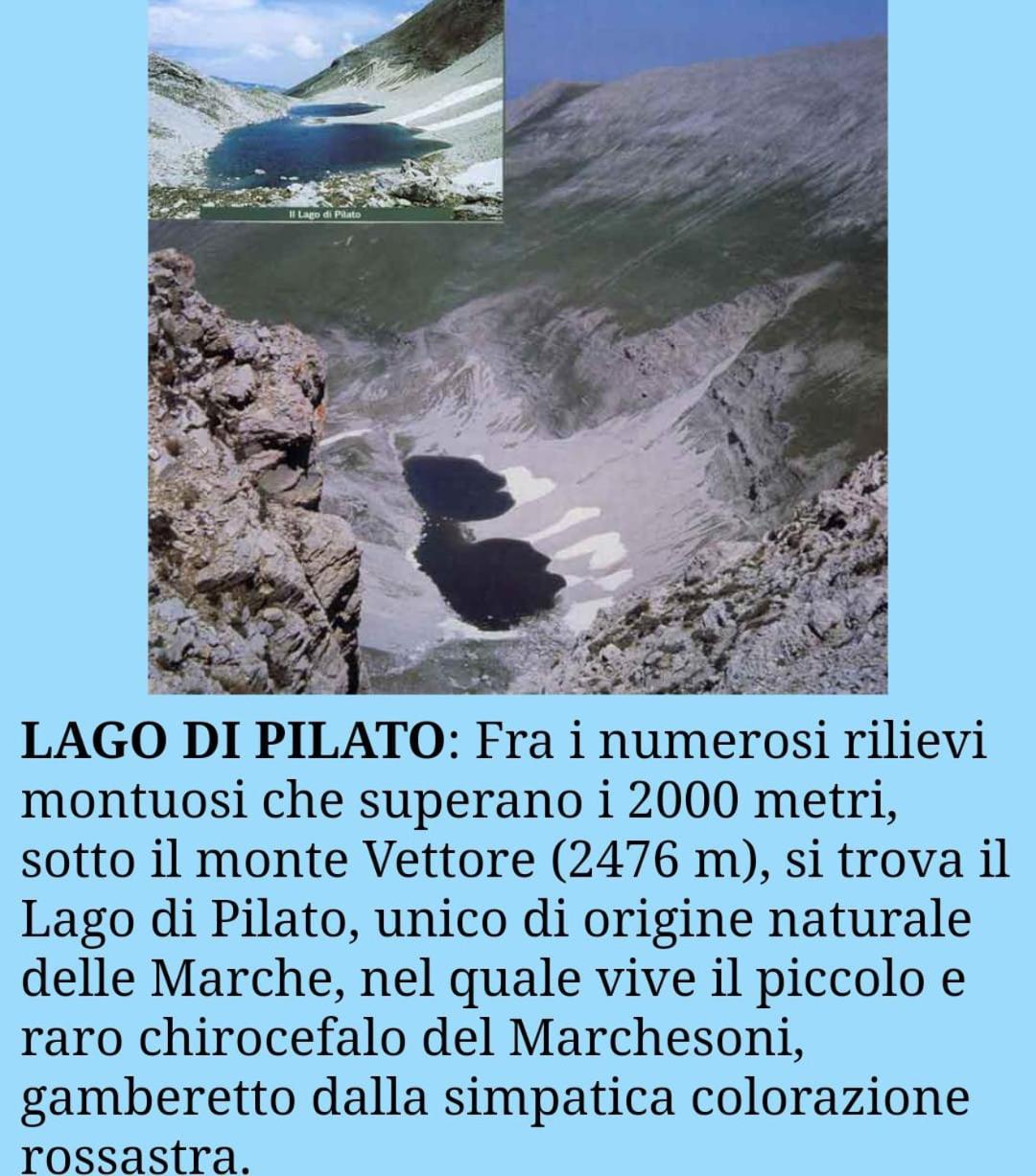 Casa Elsa * Montefortino